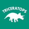 タコス・タコライス・ブリトー TRICERATOPS