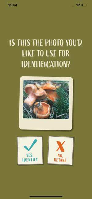 Snout: Mushroom Identification(圖4)-速報App