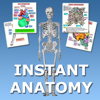 Andrew Whitaker - Instant Anatomy Flash Cards アートワーク