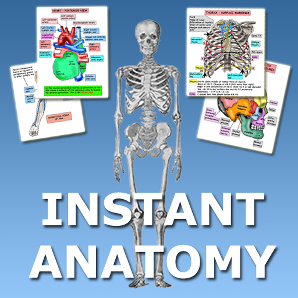 Get Instant Anatomy Flash Cards for iOS, iPhone, iPad Aso Report