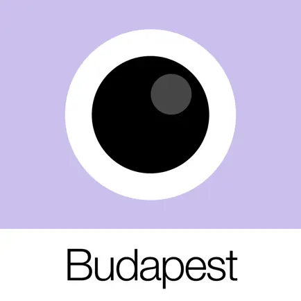 Analog Budapest Читы