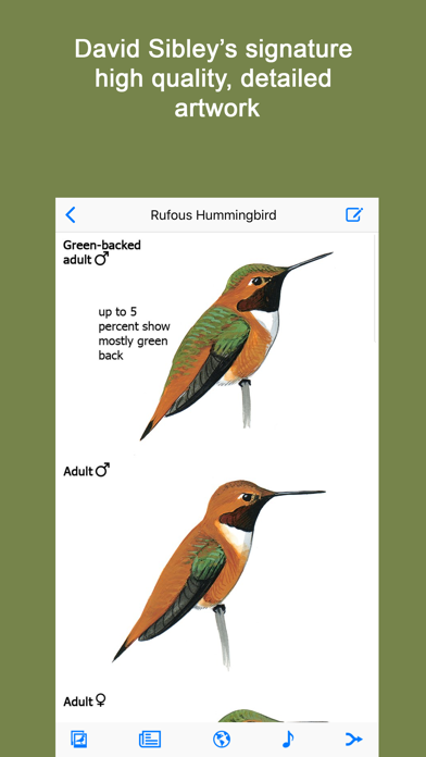 Sibley Guide to Hummingbirds screenshot 2