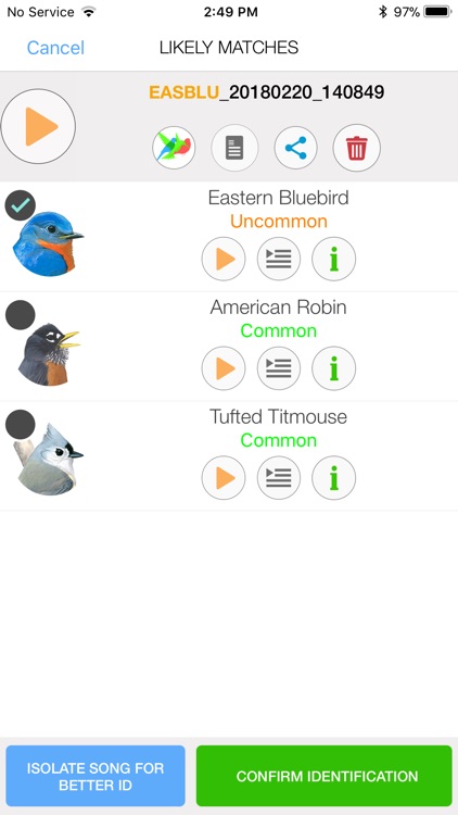 Song Sleuth: Auto Bird Song ID