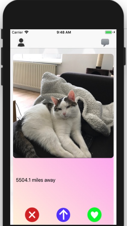 Pet Lovin': Dating App screenshot-8