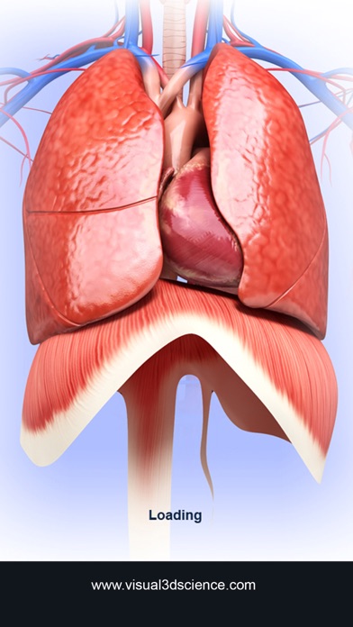 How to cancel & delete My Respiratory System Anatomy from iphone & ipad 1