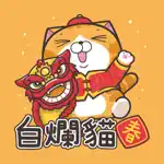 白爛貓特別篇 - 賀新年 App Problems