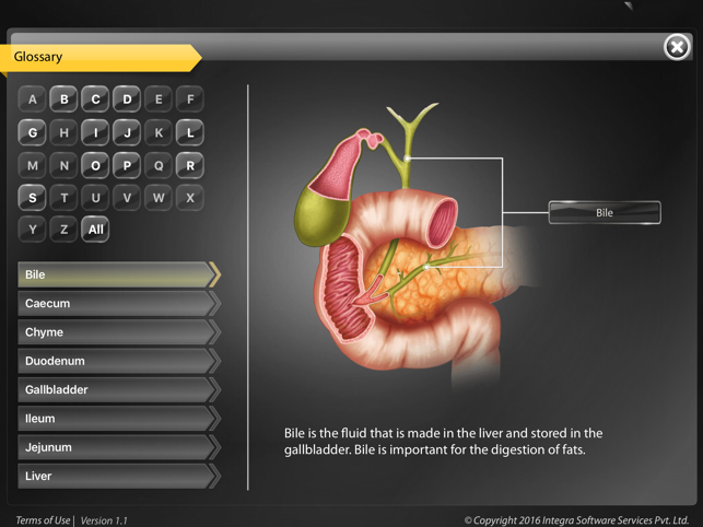 Human Anatomy - Digestive(圖2)-速報App