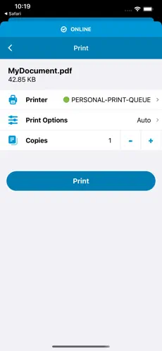 Captura 2 HP Advance iphone