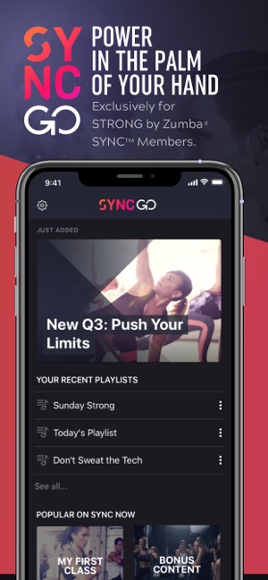 SYNC GO