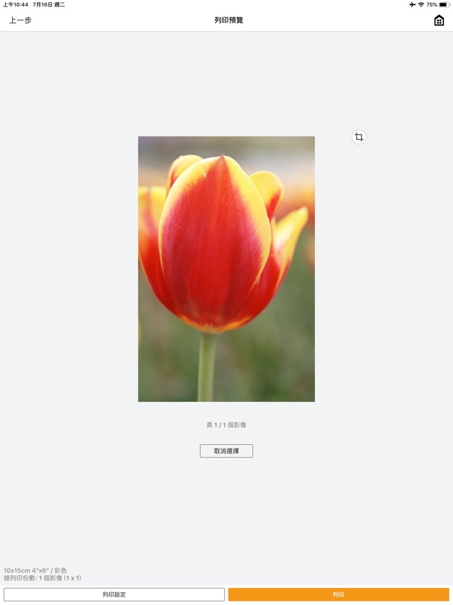 selphy app for iphone