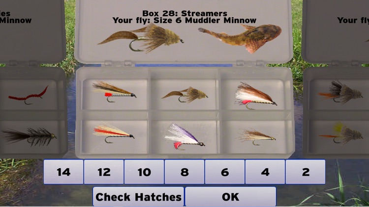 Fly Fishing Simulator