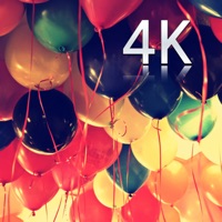 Hintergrundbilder 4K app funktioniert nicht? Probleme und Störung