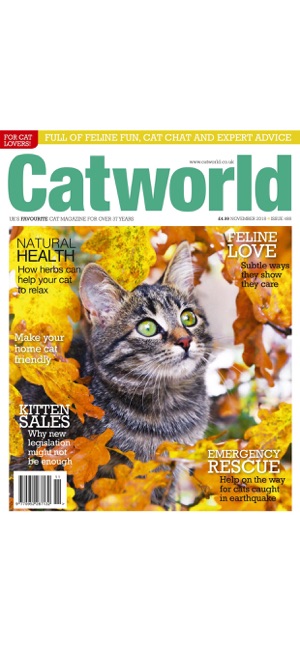 Catworld Magazine(圖9)-速報App