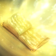 Activities of StarryWay