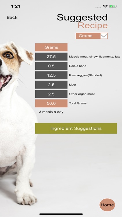 Dog Raw Feeding Calculator