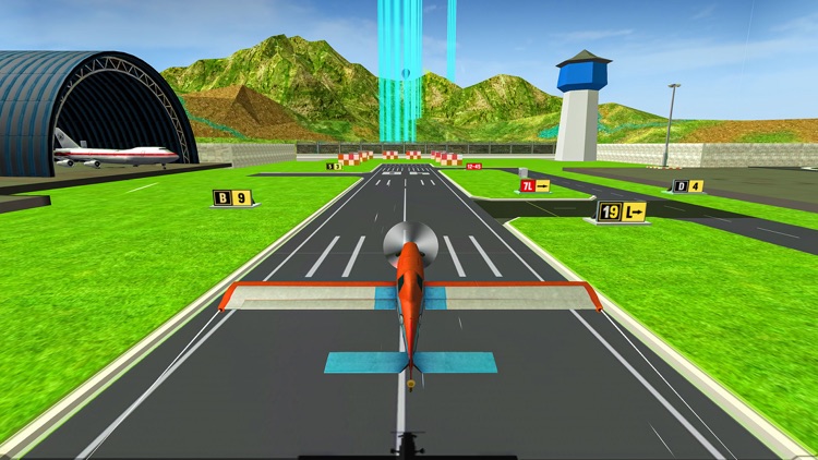 City Airplane Pilot Flight screenshot-3