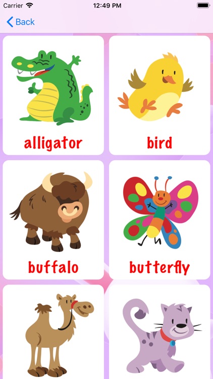 Learn Animals Names in English