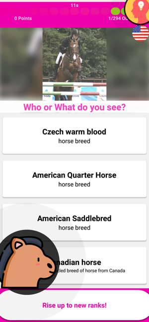 Horse Quiz Game 2019(圖3)-速報App