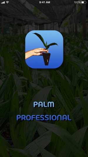 Palm Professional