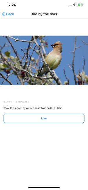 Birds by Mini App Maker