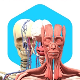 Anatomy l Cuerpo Humano AR