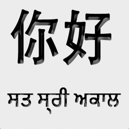 Punjabi Chinese