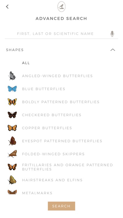 Fieldstone Guide: Butterflies screenshot-6