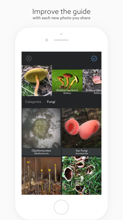 Fungi by Fieldguide screenshot-5