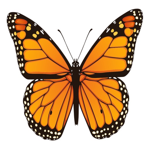 Animated Butterfly Puns icon