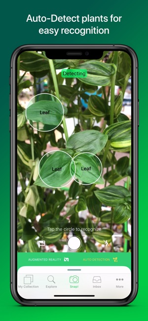 PlantSnap Pro: Identify Plants Screenshot