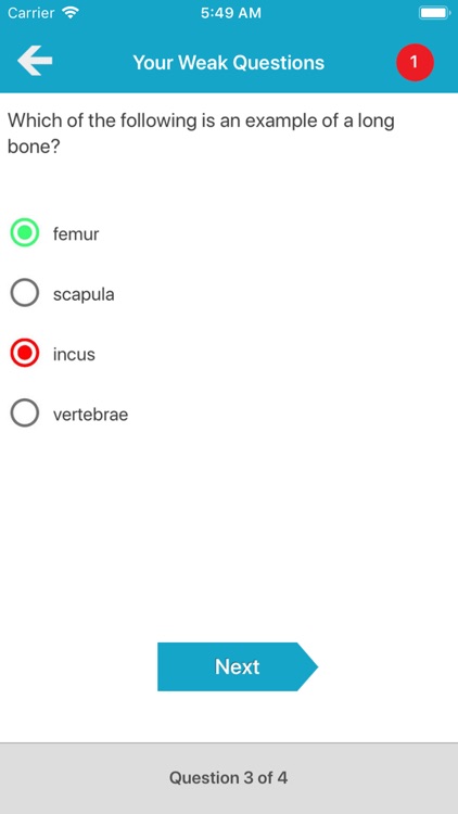 Skeletal System Quizzes screenshot-7