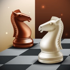 Activities of Play Chess 2019