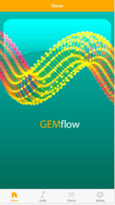 GEMflow screenshot 4