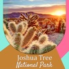 Joshua Tree National Park - US
