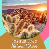 Joshua Tree National Park - US pour PC