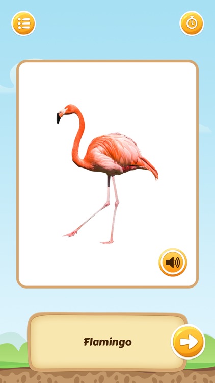 I'm Learning Animal World