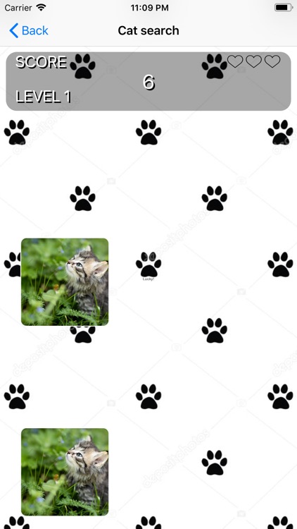 Catorizer screenshot-3