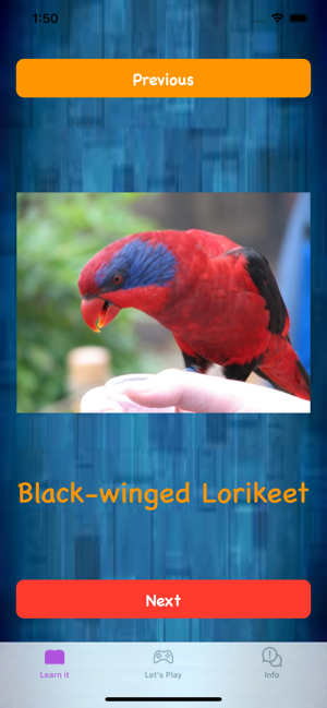 Guess parrot quiz(圖2)-速報App