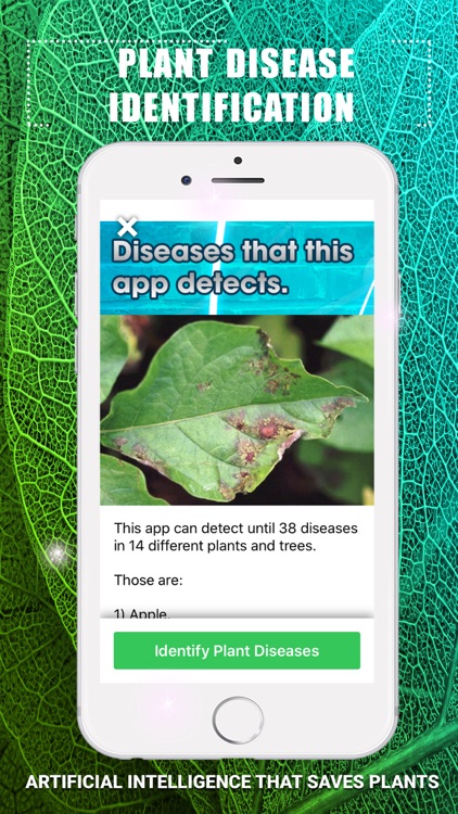 Plants Disease Identification screenshot-4