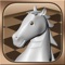 Chess Prime 3D is one of the best designed 3D chess games for the iPad / iPhone