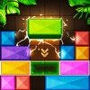 Icon Wooden Blast - Block Puzzle