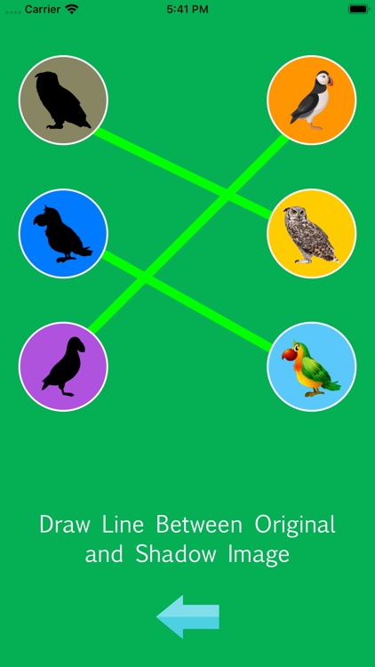 DragDropandCroosMatchBird screenshot-4