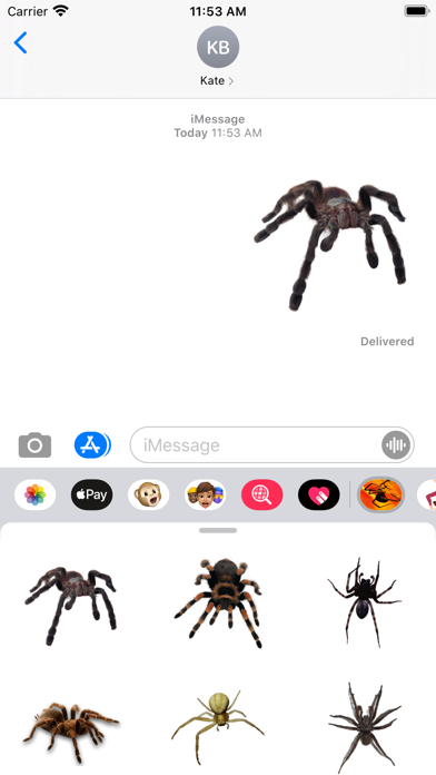 Spider Collection screenshot 2
