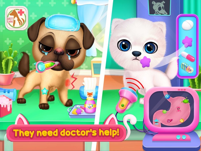 Cute Puppy Pet Daycare