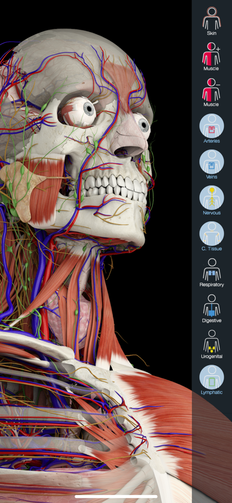 essential anatomy app for mac free download