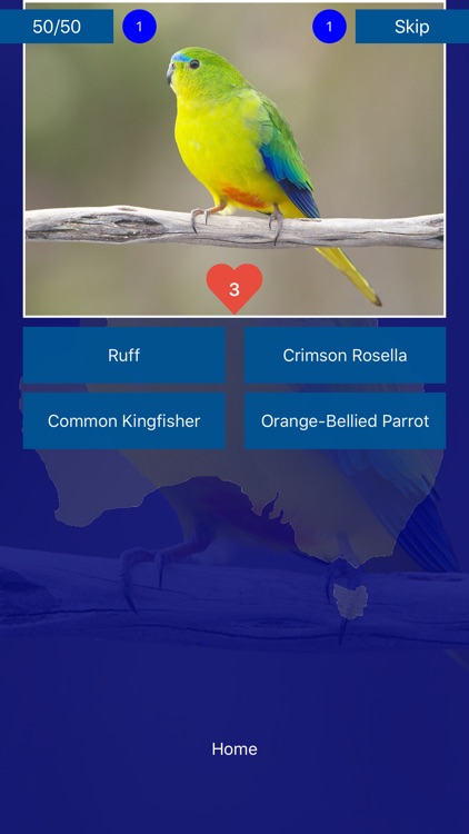 Bird Quiz - Birds of Australia screenshot-6