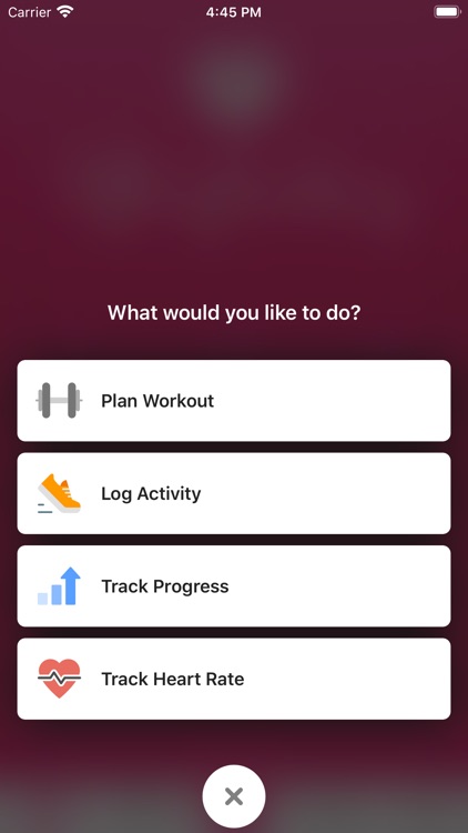 Lifting Lindsay Fitness