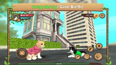 How to cancel & delete Cat Sim Online: Play With Cats from iphone & ipad 3