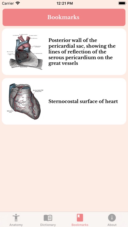 Human Anatomy Guide Offline screenshot-6