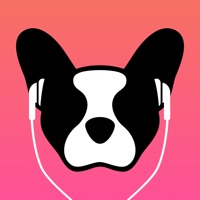 LillyPlayer Video Player